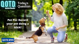 Tricky Pets: Today’s QOTD Question (Record with link below & be on air!)