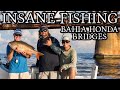 Tarpon permit and mutton snapper on the big pine bridges