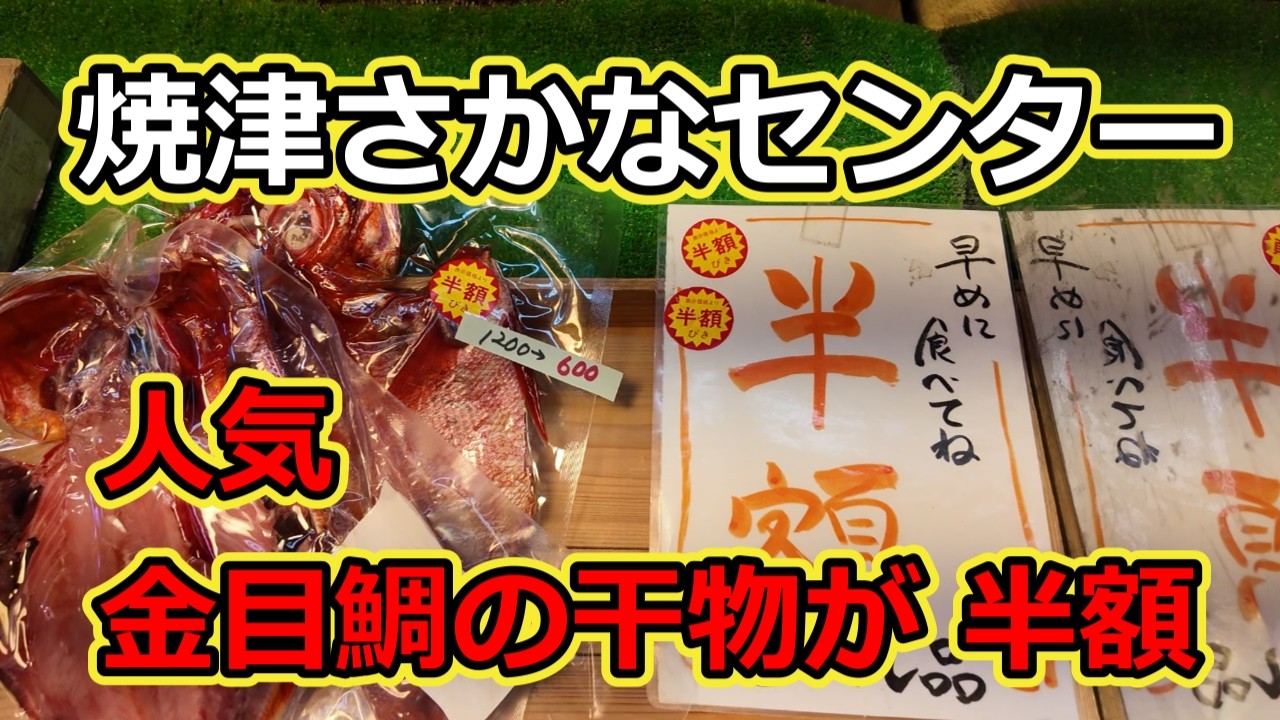【焼津さかなセンター】静岡で海鮮買うなら 海鮮丼食べるならコスパ最強 本物の市場。