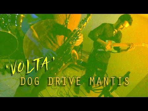 dog-drive-mantis---volta