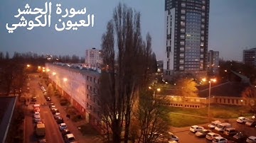 سورة الحشر بصوت الشيخ العيون الكوشي