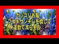 ★ポッコリお腹 海藻(フコキサンチン)を食して運動で減らそう⁉  2018年最新版