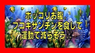 ★ポッコリお腹 海藻(フコキサンチン)を食して運動で減らそう⁉  2018年最新版