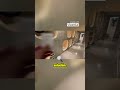 ¡Hotel cápsula en Japón! Descansa solo 9 horas y sigue explorando 🚀✨