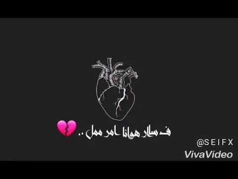 حالات واتس اب تمر الليالي وشوقي يقل احمد السويسي