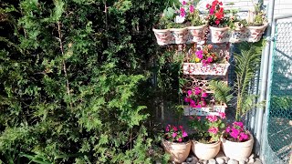 DIY Mosaic Cement Pot/Container/Planters Art Design Fence | Step by Step Project | Home Garden Idea