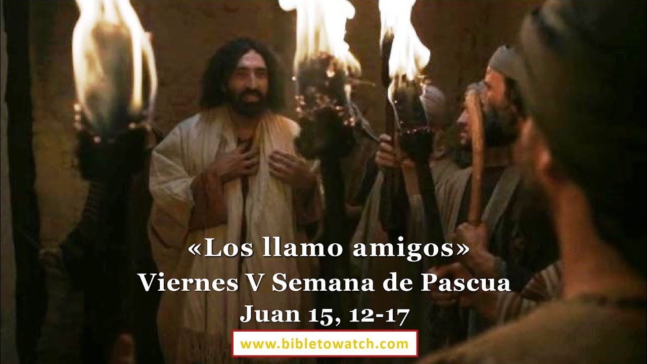 Viernes V Semana de Pascua: Juan 15, 12-17 #Bibletowatch - YouTube