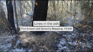Fire extent and severity mapping in NSW