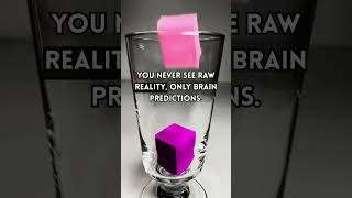 Your Brain Is Lying To You Every Second #shorts #mindblowingfacts #brainfacts #psychologyfacts