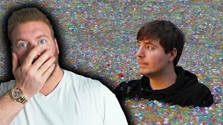 MILLIONAIRE REACTS TO MrBeast 'I Put 100 Million Orbeez In My Friend's Backyard'