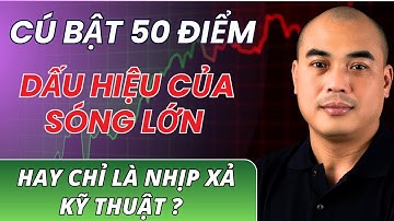 Xu hướng dòng tiền| Cú bật 50đ| Dấu hiệu của sóng lớn hay chỉ là nhịp xả kỹ thuật?