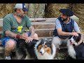 OVELHEIRO GAÚCHO, O CÃO QUE MANDA NO GADO!  Com RICHARD RASMUSSEN