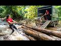 TIMELAPSE | Truck Pulls Massive Logs Ashore and Rescues a Rusty Car from the River - Linh Harvest