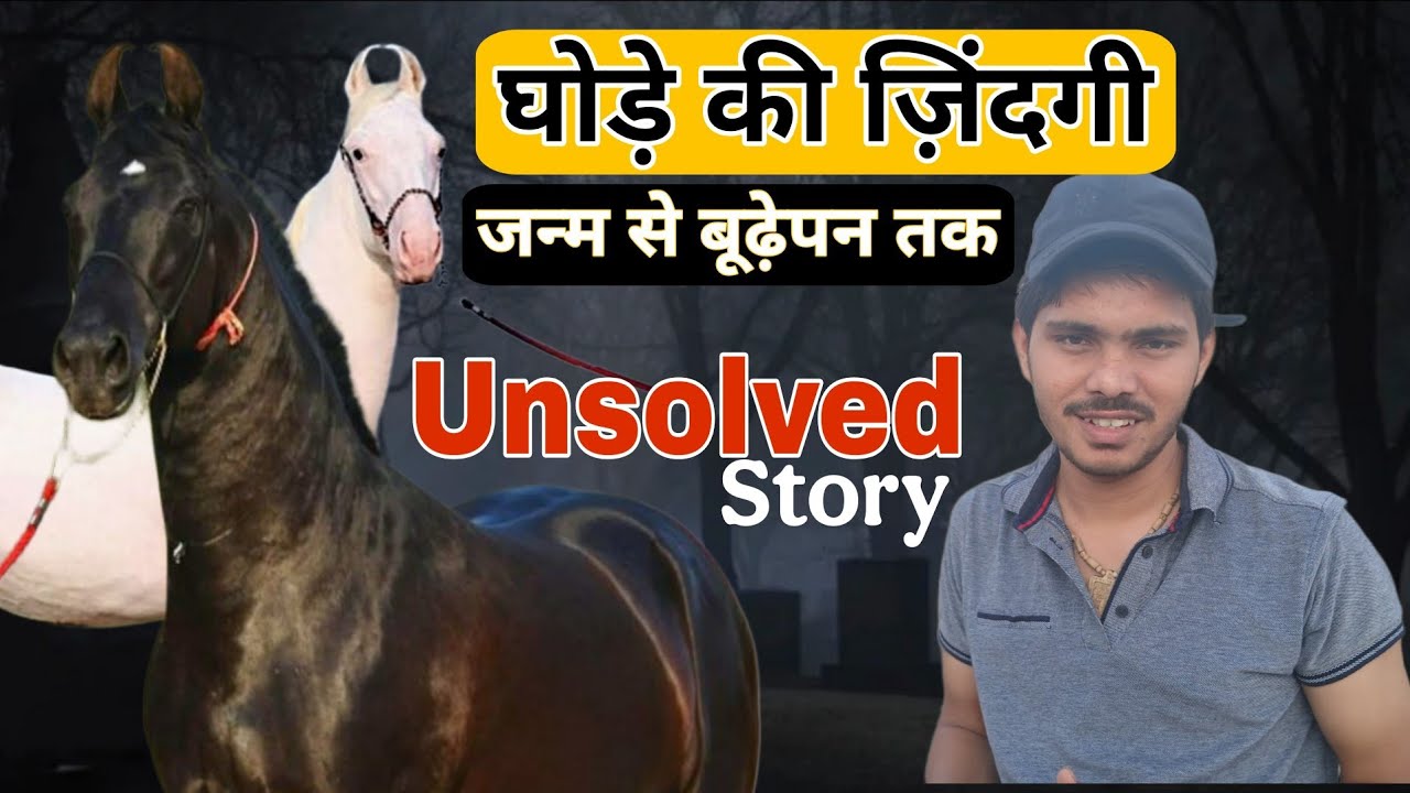 Born To Death || घोड़े की ज़िंदगी की पूरी कहानी | Horse Life Story in Hindi || scary life 