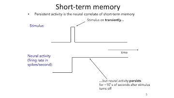 19: Neural Integrators - Intro to Neural Computation