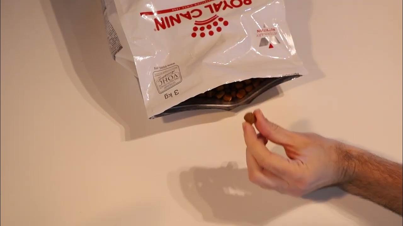 How Big is the Royal Canin Veterinary Dental Cat Food Kibble YouTube