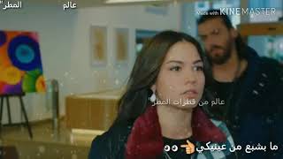 فيديو حالة واتس حب (ضميني وما تسالي) تصميمي💕😄