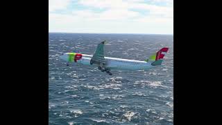 the pilot's actions endangered the plane's passengers EP502 screenshot 1