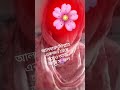 কোনো টাকা লাগবে না কাজ করতে