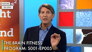 The Brain Fitness Program: S01 EP05