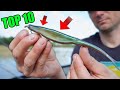 Top 10 Must Have Lures for Catching Fish in Florida Waters