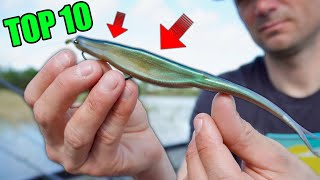 Top 10 Must Have Lures for Catching Fish in Florida Waters screenshot 1