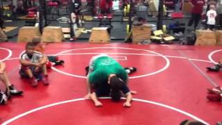 Alex dolly - Greco high gut