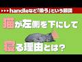 ニュースで学ぶ 動詞handleの用法。deal withなど「取り組む」という同義語もマスター:#016