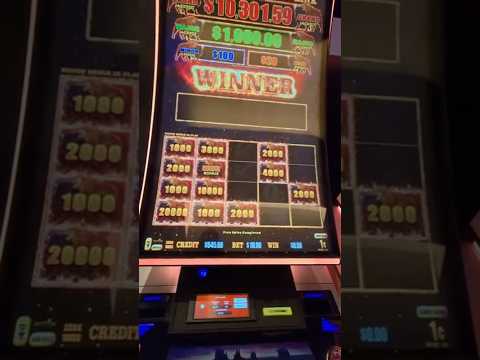 CAJERO DE CASINO ONLINE‼️
