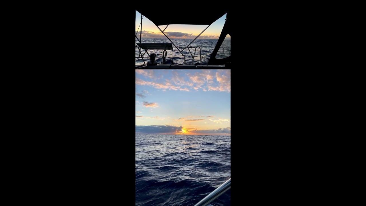 ⁣Sunsets