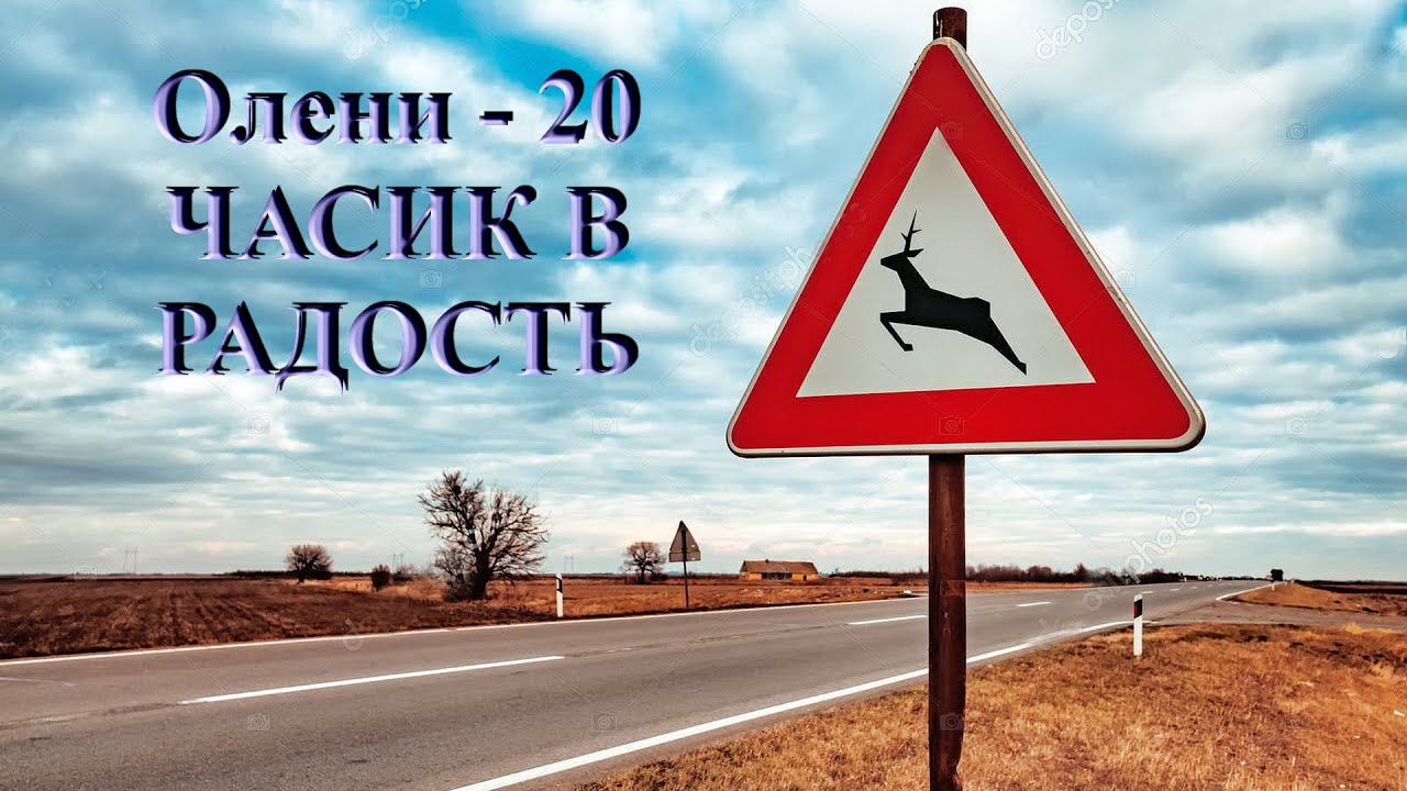 Олени-20 - ЧАСИК В РАДОСТЬ - YouTube