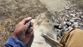 Better view shaft punch scottsbluff
