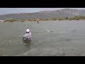 Fishing In Heavy Rain Sounds And Thunder|Fisher Man Catching The Rohu Fishes In  Rain|Unique Fishing