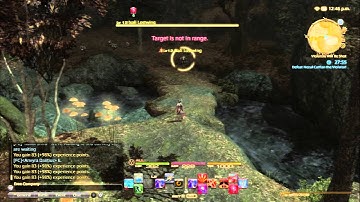 Final Fantasy XIV: A Realm Reborn - Violators Will Be Shot (battle)