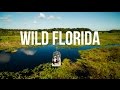 WILD FLORIDA 🌴 | Airboats & Gators | [4K Vlog]