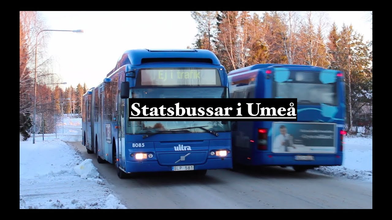 Stadsbussar i Umeå