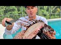 The WORST PAIN I’ve EVER FELT!
*LIONFISH* CATCH CLEAN & COOK