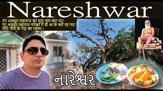 NARESHWAR || DETAILS OF SHREE RANG AVDHUT MAHARAJ | મીઠો લીમડો by Alark Soni 18,152 views 1 year ago 10 minutes, 44 seconds