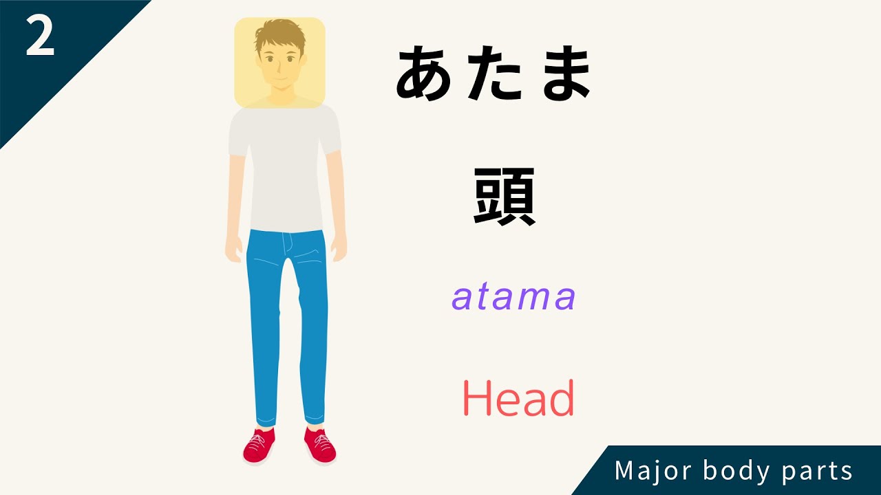 Major body parts in Japanese Learn with images YouTube