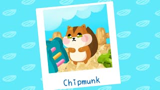 햄스터 키우기 게임 screenshot 5