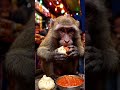 मोमोज खाता हुआ बन्दर😂 #trending#viral#reels#support#ai#funny#shorts#like#instagram