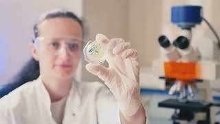 Can Ozone Kill Mold Spores?