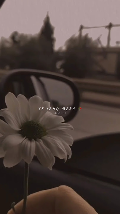 Dil Meri Na Sune 💔🥺 | whatsapp status love 💕 | Aesthetic lyrics status #lyrics #shorts #trending #4k