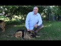 Joe MacKinnon talking about Augusto and his dogs as well as his practices 8 19 14 Joe MacKinnon talking about Augusto and his dogs as well as his practices 8 19 14