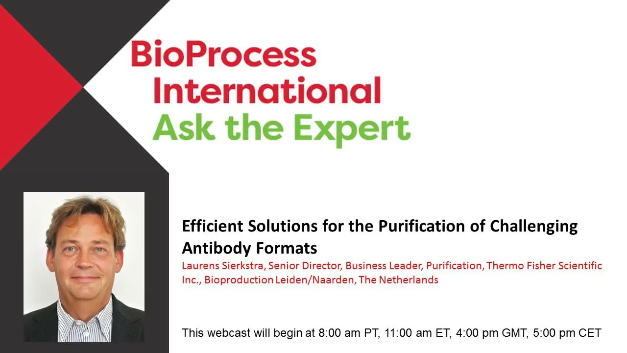 Efficient Solutions for the Purification of Challenging Antibody Formats
