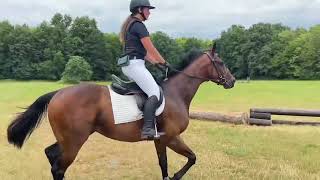 Moons the Limit - Flat + 1st XC Schooling July 2023
