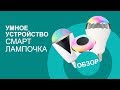 Лампочка с Wi-Fi, Bluetooth и динамиком? Такое возможно?