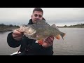 Nays VNM Shad Now Available