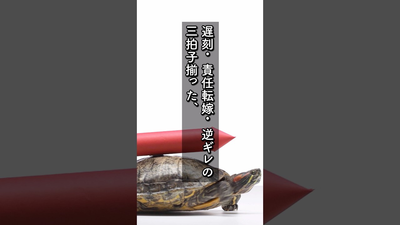 中途入社のポンコツ社長令嬢「この程度の仕事、私1人で充分よｗ」俺「どうぞ頑張ってきてください」→お望み通り10億の商談を1人で行かせた結果ｗ #shorts#朗読#感動#スカッとする話