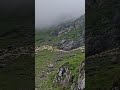 #transfagarasan #beer #butiful #nature #travel #top